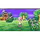 Nintendo ANIMAL CROSSING NEW LEAF WELCOME AMIIBO Nintendo 3DS