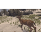 GLU MOBILE Deer Hunter Reloaded PlayStation 4