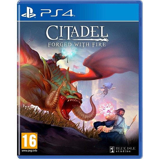 BLUE ISLE STUDIOS Citadel Forged With Fire PlayStation 4