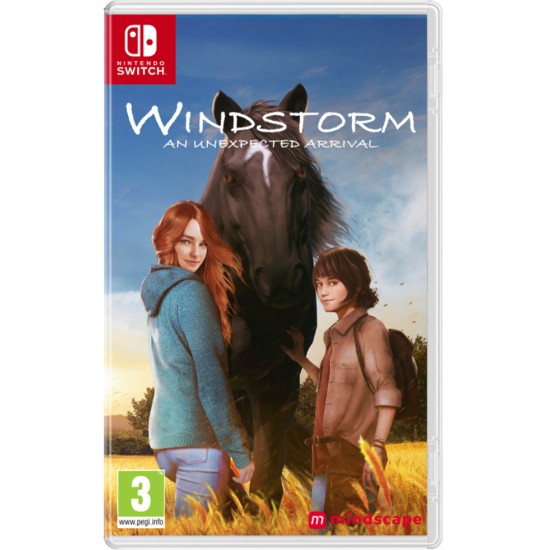 AESIR INTERACTIVE Windstorm An Unexpected Arrival Nintendo Switch