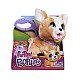 Just Play Furreal Poop-a-lot Corgi 23cm (272-28057)