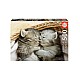 Educa Educa 500 Pcs Sweet Cats Puzzle (80-19004)