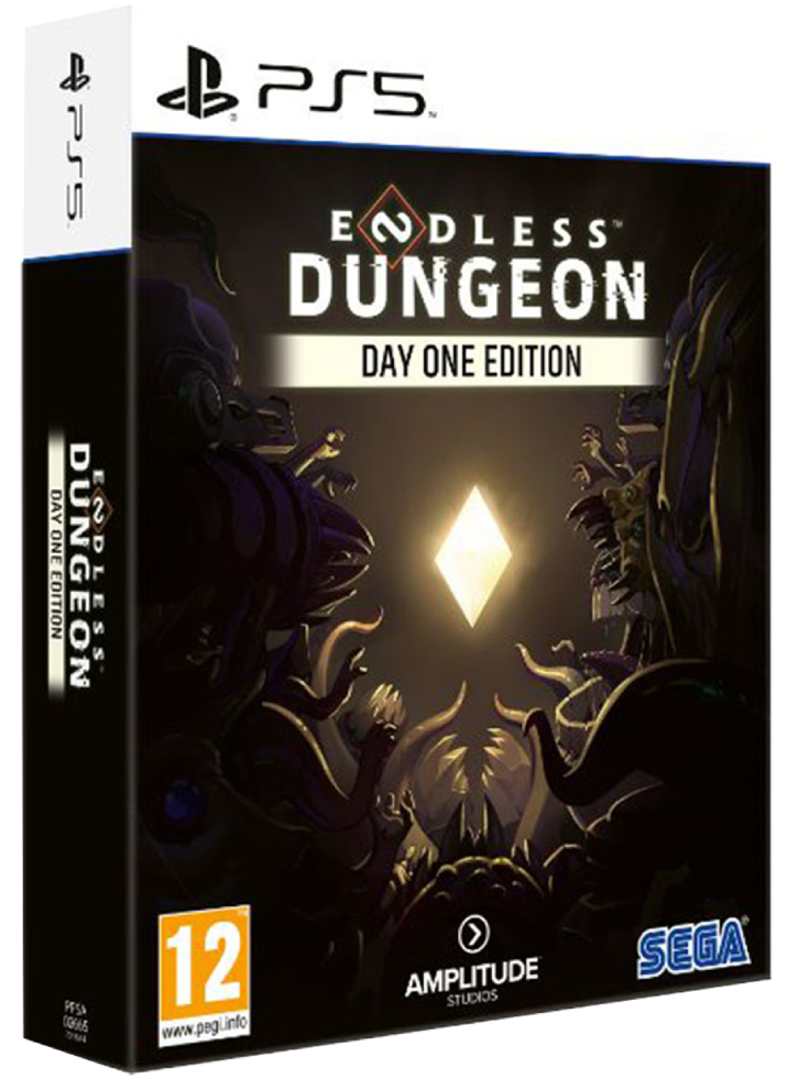 Endless Dungeon Day One Edition Плейстейшън 5