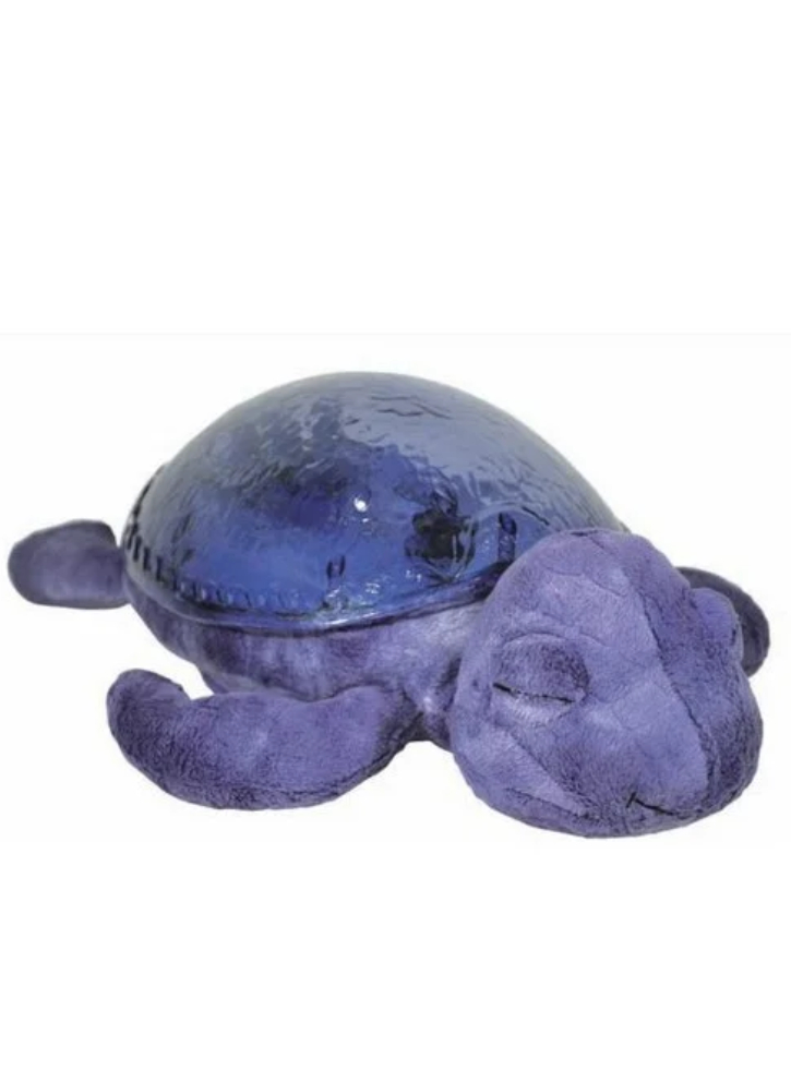 Plus Cloud B Tranquil Turtle Ocean (CB7423-PR)