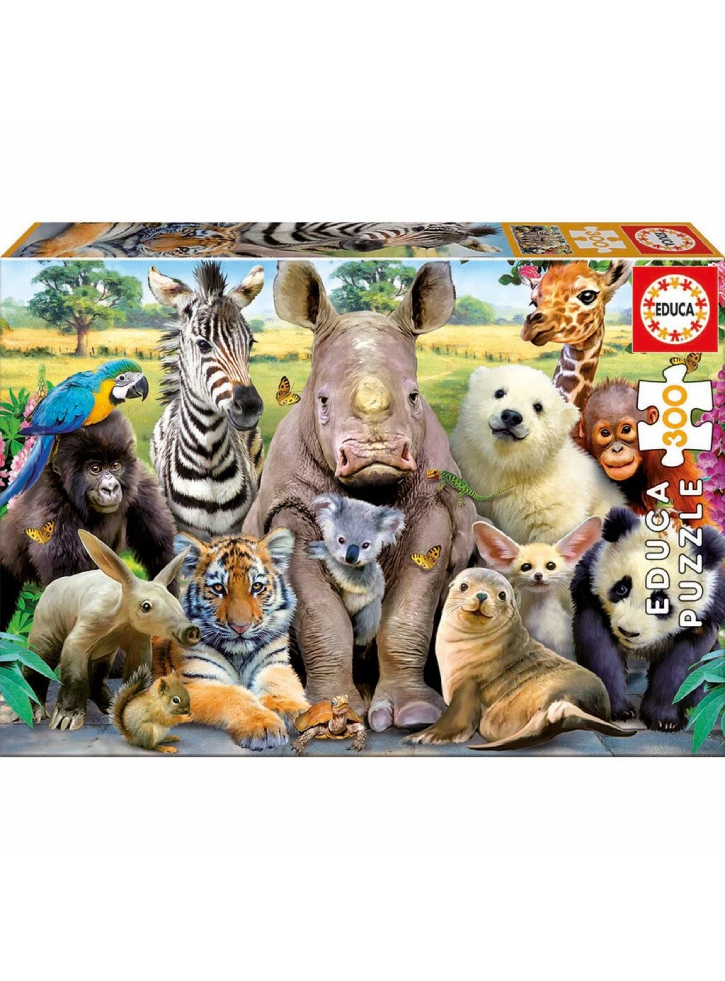 Educa 300 Pcs Class Photo Puzzle (80-15908)