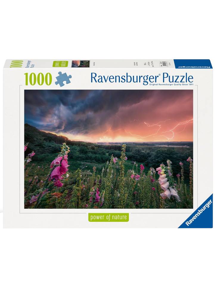 Ravensburger Puzzle Dreamy Thunder 1000p (12000793)