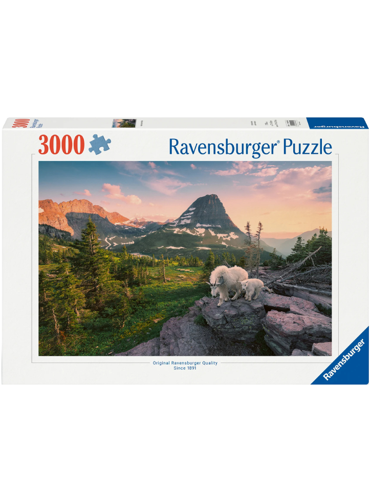 Ravensburger Puzzle Foto City Landscape 3000pc (12000809)