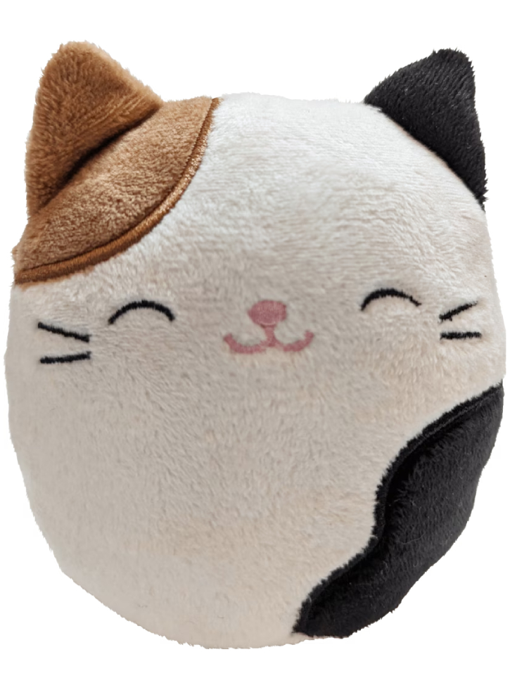 Squishmallows Plush Bluetooth Speaker Cameron (608092)