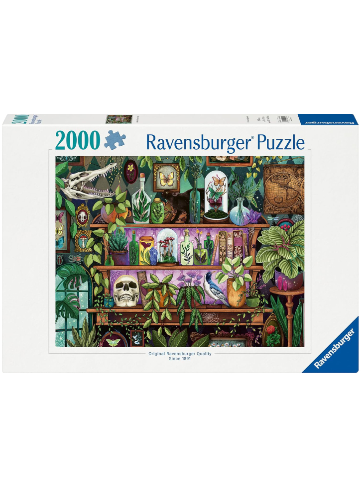 Ravensburger A Witch\'s Favorite Things 2000pcs (12001416)