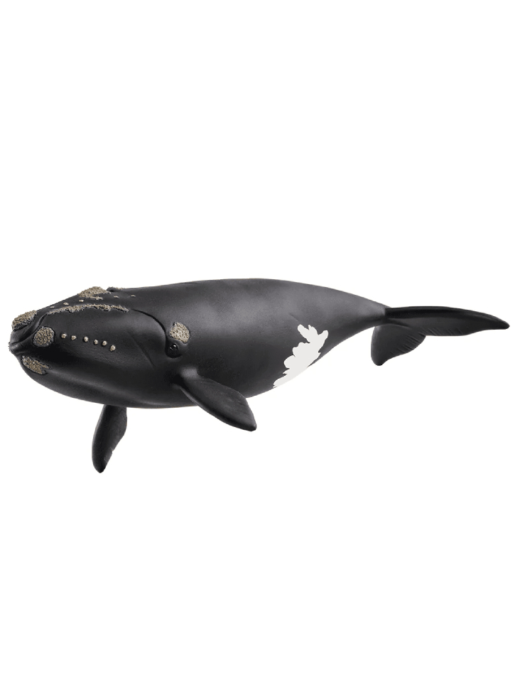 Schleich North Atlantic Right Whale 14878