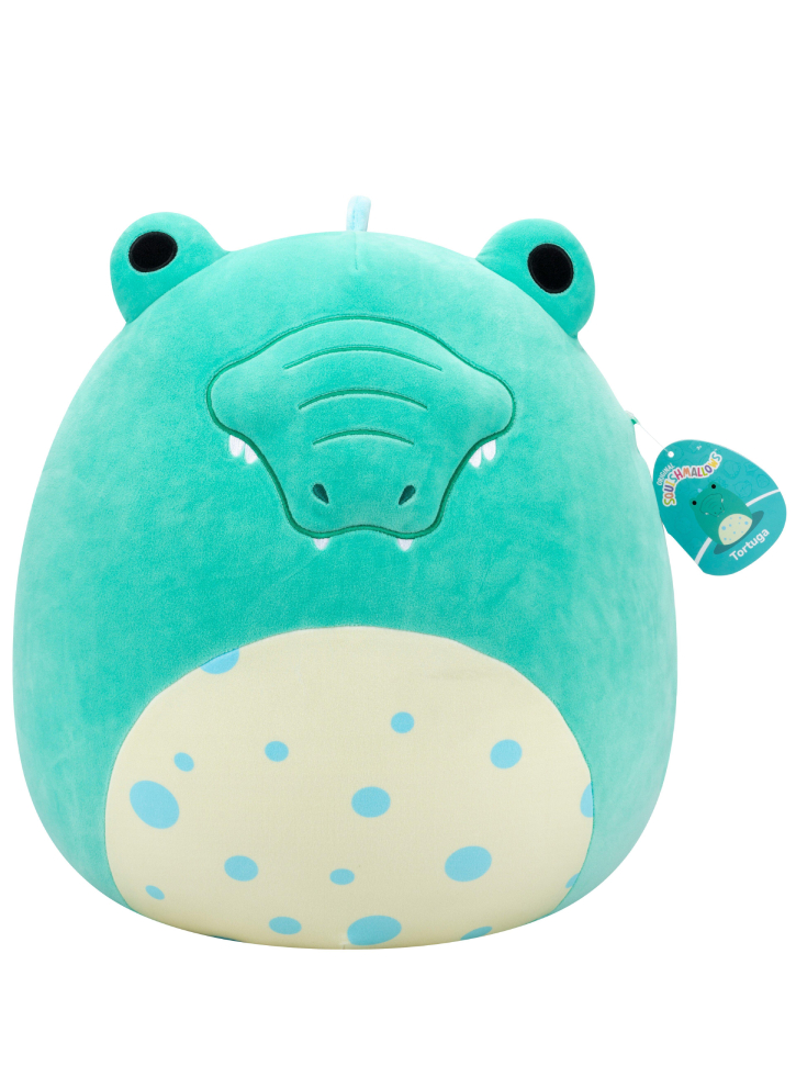 Squishmallows P22 Tortuga Alligator 40cm (227701)