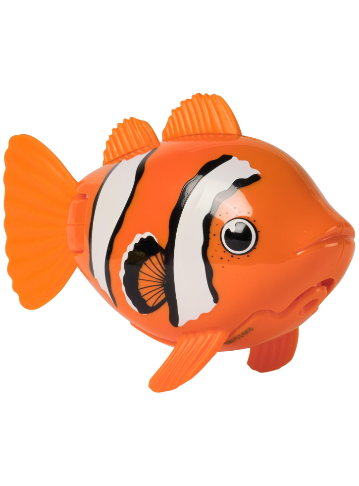 Swims Rainbow Reef Fish Clown Fish (6072502)