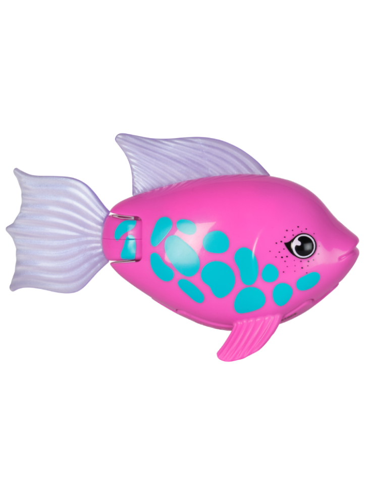 Swims Rainbow Reef Fish Rainbow Fish (6072523)