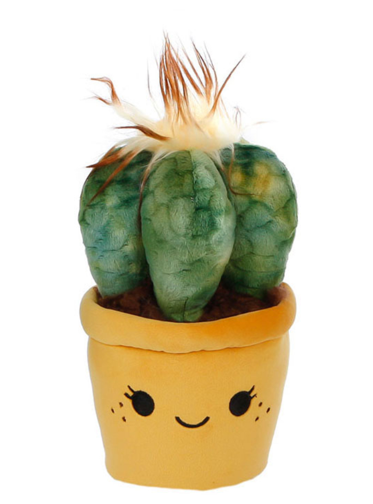 Take Me Home Green Plush Plant Random (154930)