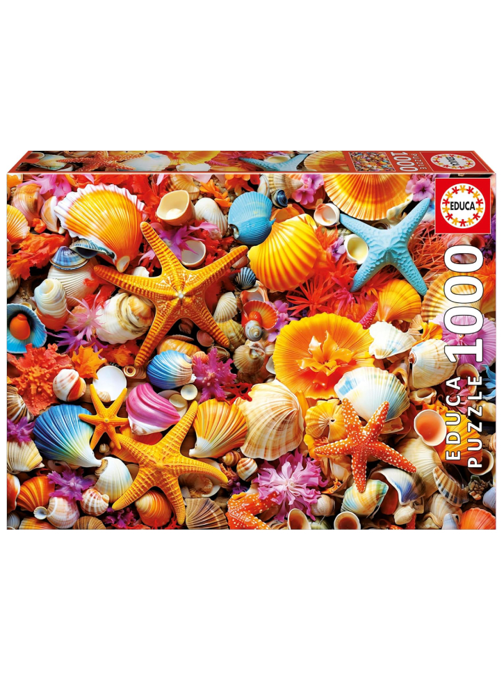 Educa 1000 Shell Collage (80-20246)