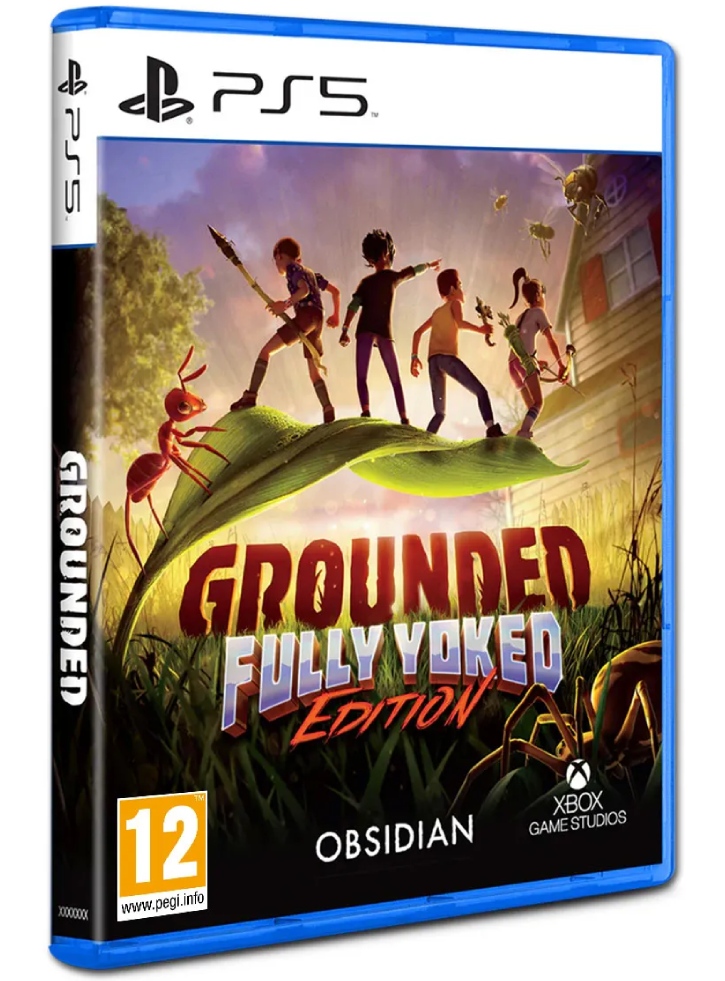 Grounded Fully Yorked Edition