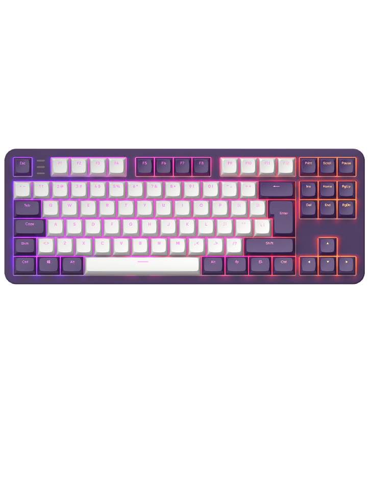 Dark Project Keyboard Purple 87 Rgb