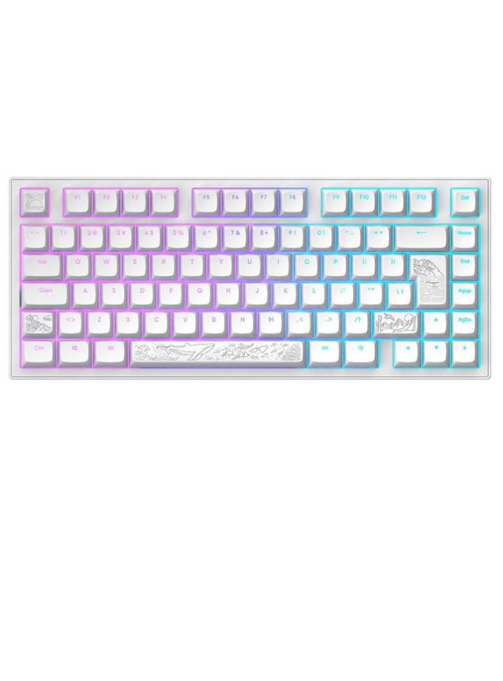Dark Project Nostra Keyboard White 81 Rgb